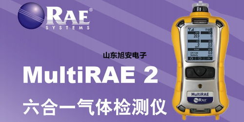 美国华瑞PGM 6208/6208D/6228便携式气体探测器 型号差异与应用场景策略